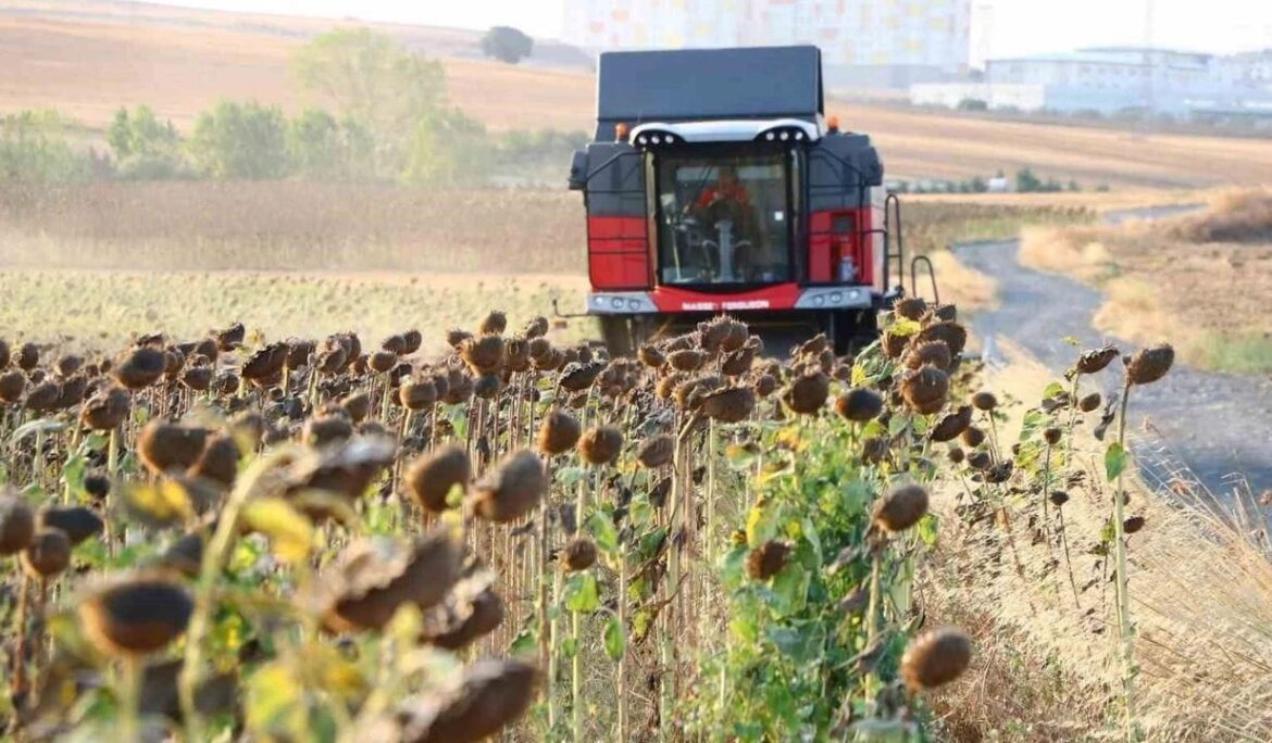 Yağlık ayçiçeği alım fiyatı açıklandı: Yüzde 17,2 artış, ton başına 34 bin lira