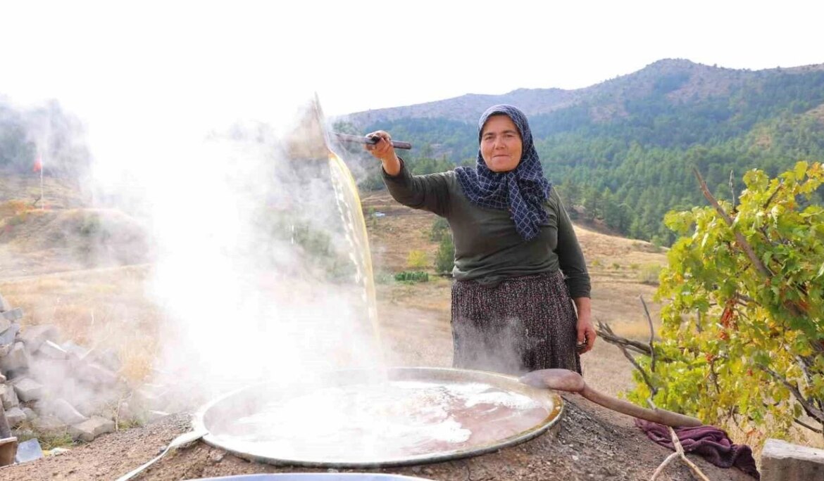 Bağlardan kazanlara uzanan pekmez mesaisi