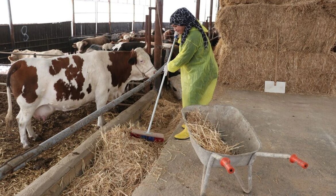 Bir hayvanla başladı, şimdi entegre tesis hedefliyor