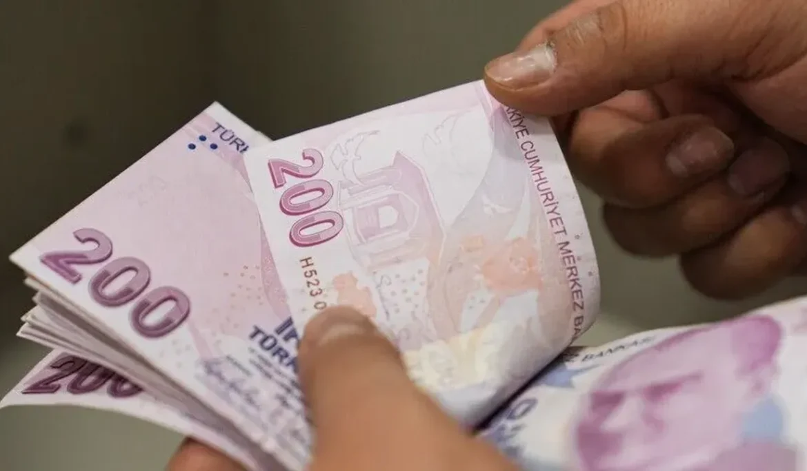Ekim ayı yaşlı ve engelli aylıkları hesaplara yatırılmaya başlandı