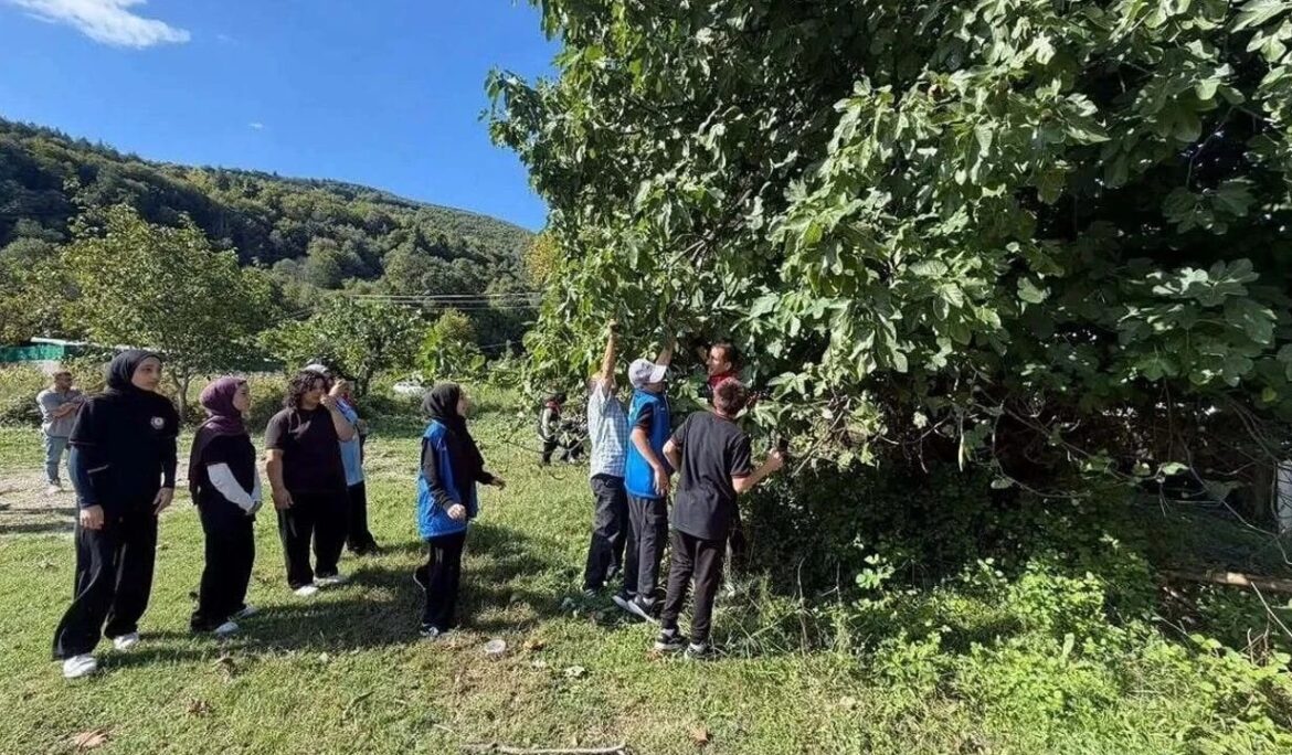 Gençlerin hasat heyecanı – EtikHaber