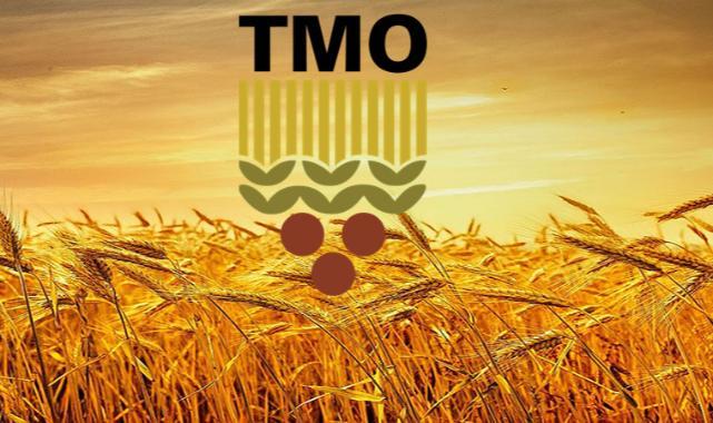 TMO 2026 Çeltik Alım Fiyatları Açıklandı