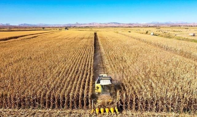 Tarım ÜFE eylülde aylık bazda yüzde 1,99 azaldı