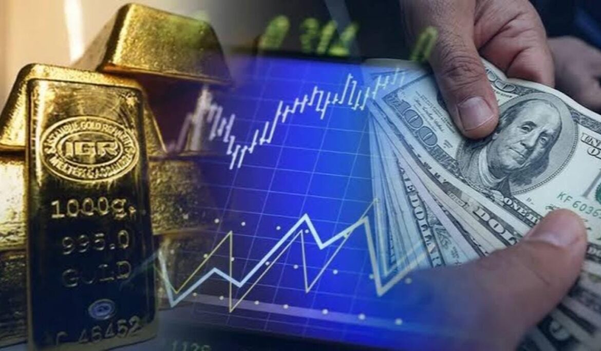 Yatırım araçlarında haftanın bilançosu: Dolar öne çıkıyor!
